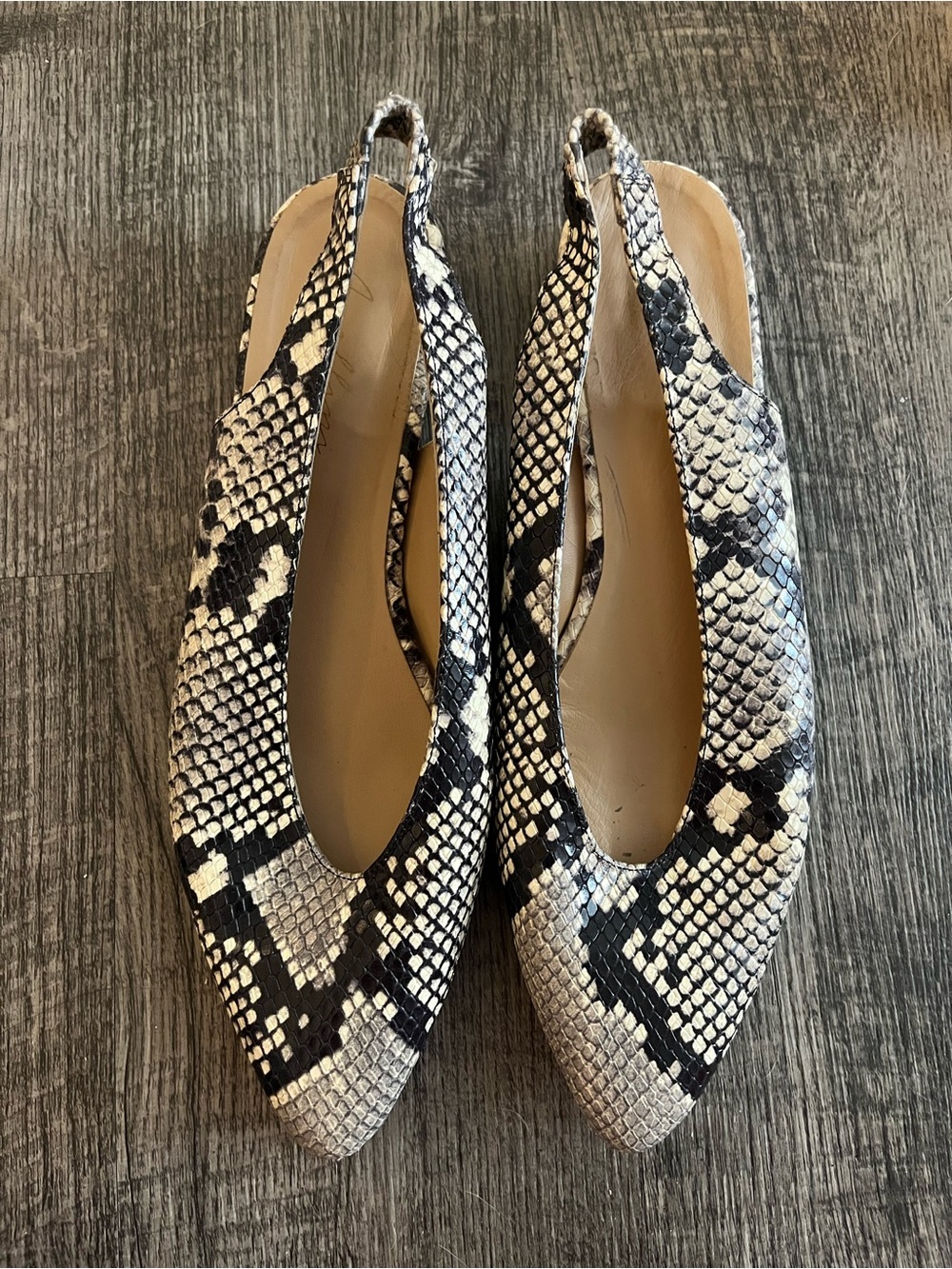 Women’s Pointed Slingback Flats in Black & Cream Snake Print